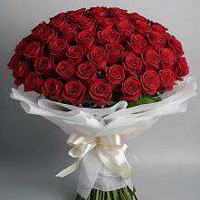 Букет 101 Красная роза Блэк Мэджик в Екатеринославке