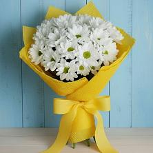 Букет цветов из:  Хризантемы в Екатеринославке