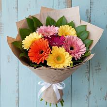 Букет цветов из:  Герберы #REPLACE_PRED# Екатеринославке