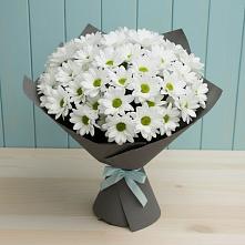 Букет цветов из:  Хризантемы #REPLACE_PRED# Екатеринославке