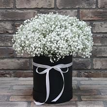 Цветочная композиция из Гипсофила в шляпной коробке #REPLACE_PRED# Екатеринославке