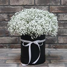 Цветочная композиция из Гипсофила в шляпной коробке в Екатеринославке