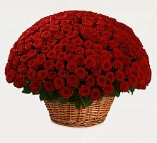 Премиум букет из: Розы в Екатеринославке